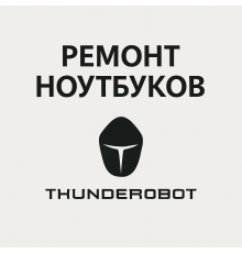 Ремонт ноутбуков Thunderobot в Павлодаре